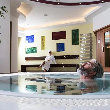 酒店 Phoenix 巴特法兴格