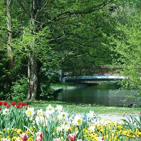 Phoenix 巴特法兴格